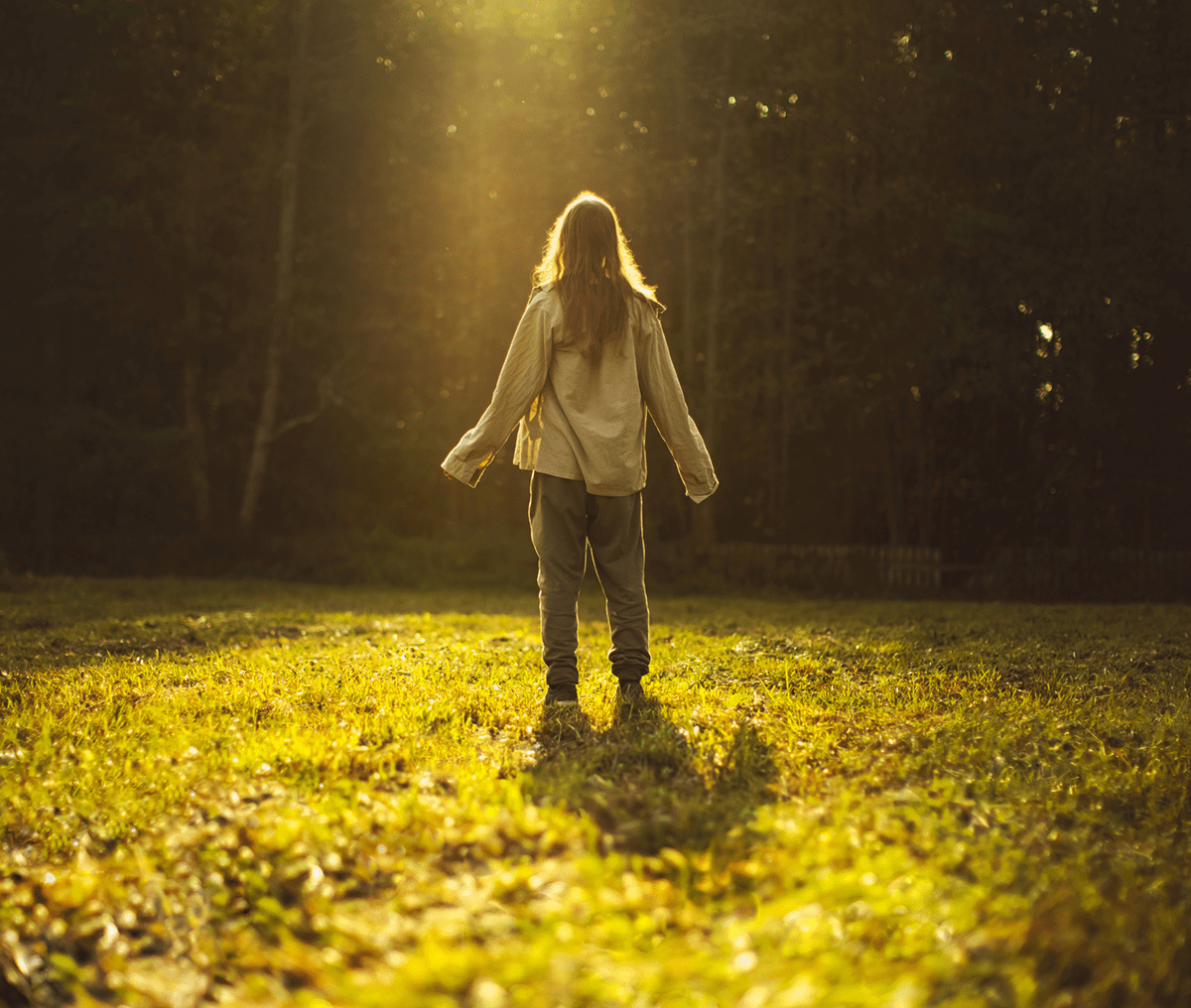 Child walking on grass illuminated by golden sunlight in a forest.