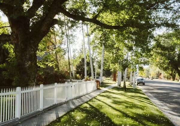 Shaded street with white picket fence