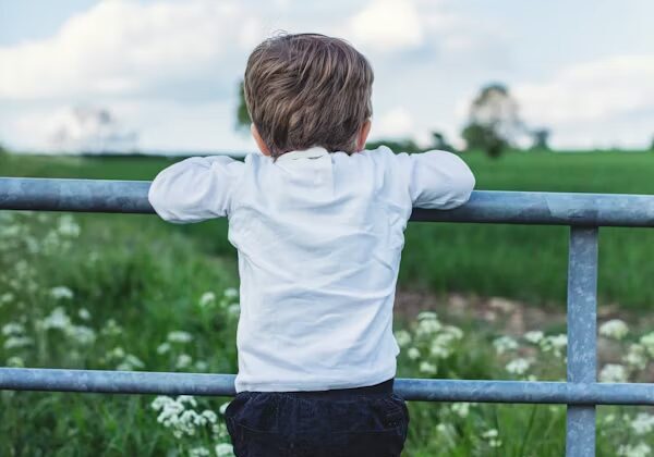 Child climbing fence, looking at field.